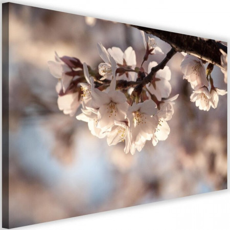 Tablou &#039;Flowering Cherry&#039;, crem, 40 x 60 cm - Img 1