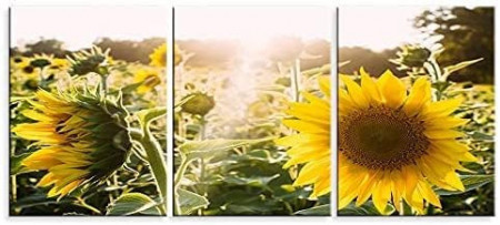 Set 3 tablouri model floarea soarelui, panza, multicolor, 40 x 30 x 0,03 cm