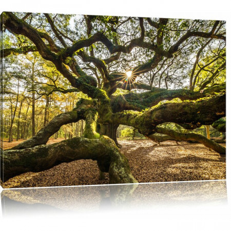 Tablou „Arbore gigantic ramificat”, maro/verde, 80 x 120 cm - Img 1