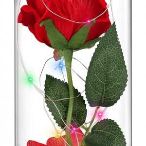 Cupola cu trandafir ZACENYU, LED, sticla/plastic, rosu