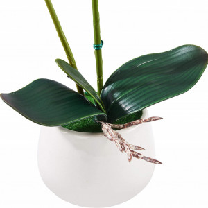 Floare artificiala Phalaenopsis Alicemall, matase/plastic, alb/verde, 12 x 30 cm - Img 4