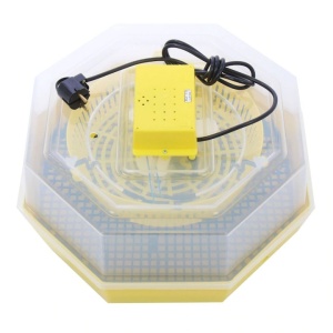 Incubator pentru oua, Cleo 5, capacitate 60 oua, Resigilat, Grad B