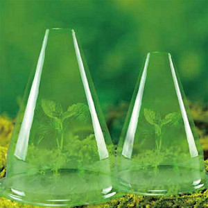 Set de 10 protectii pentru plante Cyymna, PVC, verde - Img 4