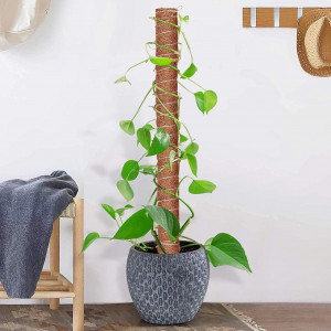 Set de 2 suporturi pentru plante cataratoare Mododo, fibre naturale de cocos, maro, 40 cm 