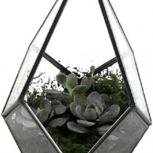 Suport decorativ pentru plante Asvert, sticla/metal, negru/transparent, 12 x 12 x 17 cm - Img 3