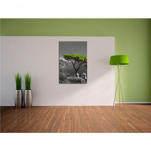 Tablou cu „Arborele Mediteranian”, 100 x 70 cm - Img 2