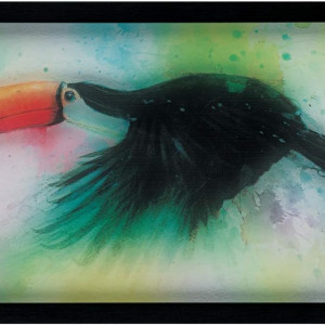 Tablou Simon Howden, model Tucan, panza, multicolor, 30 x 50 cm