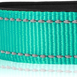 Zgarda reflectorizanta pentru caine Joytale, nailon, verde/negru, marimea M