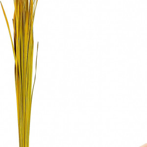 Buchet decorativ pentru vaze de podea LEEWADEE, iarba naturala uscata, galben, 120 cm - Img 1
