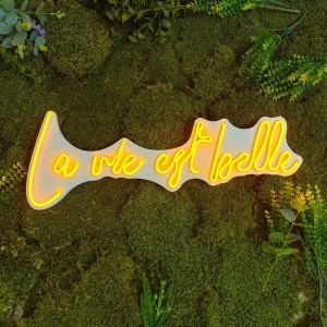 Decor de perete Re-Bloom, La Vie Est Belle, LED, PVC, portocaliu, 62 x 2 x 22 cm - Img 4
