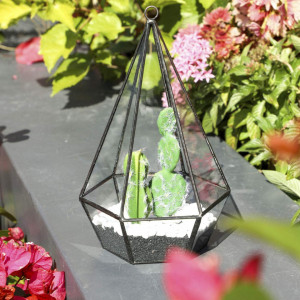Ghiveci pentru plante Asvert, metal/sticla, transparent/negru, 19,5 x 5,5 x 7 cm - Img 7