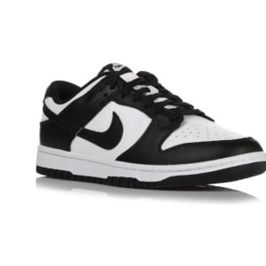 Pantofi sport Nike Dunk Low Retro DD1391100 Barbati Alb 40