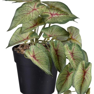Plantă artificială Caladium II verde, 19cm