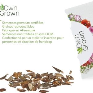 Set 2 plicuri cu seminte de Zinnia-Carciumarese OwnGrown, rosu/portocaliu, 120 bucati