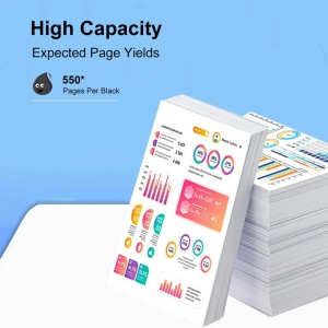 Set de 2 cartuse 604XL pentru imprimanta Epson 604 Hoinklo, negru