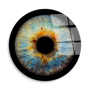 Tablou decorativ Re-Bloom, model ochi, sticla calita, multicolor, 60 cm