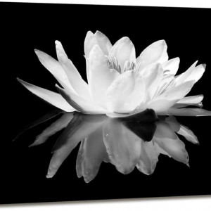 Tablou KEKEMONO, model floare de lotus, panza, alb/negru, 40 x 60 cm