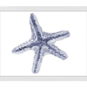 Tablou Starfish 60 x 50 cm