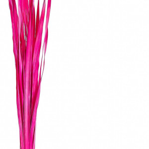 Buchet decorativ pentru vaze de podea LEEWADEE, iarba naturala uscata, 20 fire, roz, 120 cm 