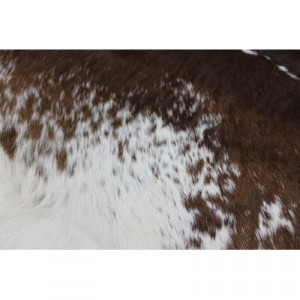Covor natural din piele de vacă Kilin, maro/alb, 75 x 60 cm - Img 3