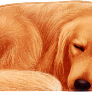 Covoras PAT JUUMG, model caine, poliester/spuma/cauciuc, maro, 40 x 85 cm