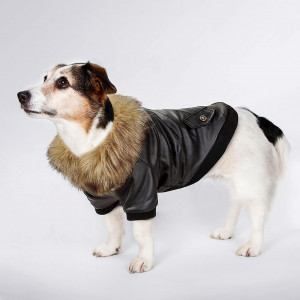 Jacheta cu blanita pentru caini PETLESO, piele PU, negru, L - Img 1
