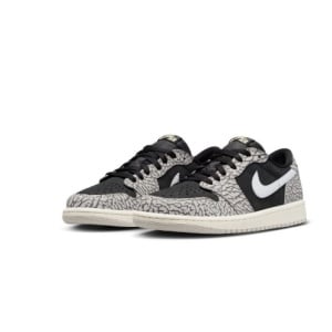 Pantofi barbati Nike, 4491972, Sintetic, 41 EU, Alb