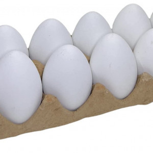 Set de 12 oua Mijoma, plastic, alb, 6 x 4 cm