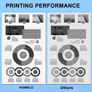 Set de 2 cartuse 604XL pentru imprimanta Epson 604 Hoinklo, negru