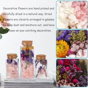 Set de 5 recipiente cu flori pentru mestesuguri Lyeiaa, sticla/flori uscate, multicolor, 12 x 4,7 cm / 8 x 4,7 cm 