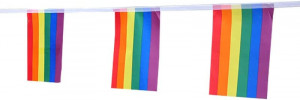 Banner cu 30 de steaguri curcubeu Hollylife, nailon/poliester, multicolor, 10 m / 14 x 21 cm - Img 7
