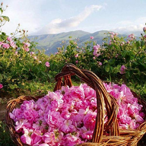 Burete de sapun cu glicerina Rose, aroma trandafir, roz - Img 2