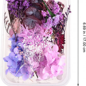 Flori presate pentru proiecte DIY Walsey, flori uscate, violet - Img 2