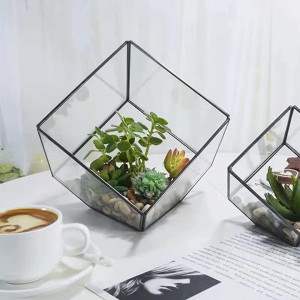 Ghiveci decorativ pentru plante Asvert, sticla, transparent, 15 x 15 x 15 cm - Img 8