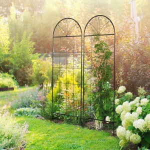 Set 2 suporti plante agatatoare treliu 51x152 cm, metal vopsit pulbere, insertie sol sau perete, negru - Verificat A · Re-Bloom - Img 2