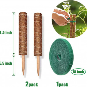 Set de 2 suporturi pentru plante cataratoare Mododo, fibre naturale de cocos, maro, 40 cm 