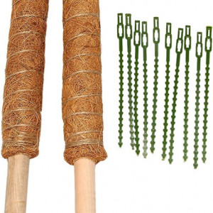 Set de 2 suporturi pentru plante SODIAL, lemn/fibra de cocos, maro, 40 cm