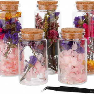 Set de 5 recipiente cu flori pentru mestesuguri Lyeiaa, sticla/flori uscate, multicolor, 12 x 4,7 cm / 8 x 4,7 cm 