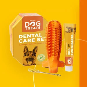Set ingrijire dentara pentru caini Natural Dog, periuta si pasta de dinti, cauciuc, portocaliu