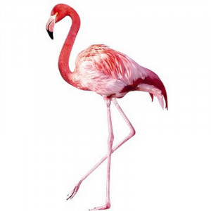 Sticker Flamingo, roz, 202 x 120 cm - Img 1