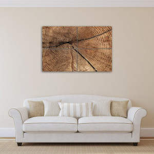 Tablou 'Cross section of Tree Trunk Rings', 4 piese, panza, maro, 80 x 120 x 2 cm - Img 2