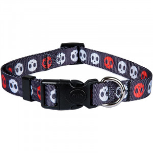 Zgarda reglabila pentru caini ASTORPET, poliester/plastic/metal, multicolor, marimea S - Img 1