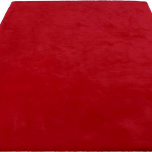Covor DELAVITA_GW, textil, rosu, 240 x 340 cm