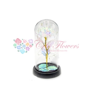 Cupola Trandafir Led Galaxy