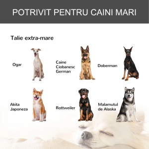 Cusca pentru caini pliabila cu roti si baza detasabila, metal/PP, 125x76x81 cm, tava 119x74x3 cm, usa frontala 54x56 cm, capacitate 80kg, gri inchis - Verificat A · Re-Bloom - Img 5