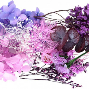 Flori presate pentru proiecte DIY Walsey, flori uscate, violet - Img 1