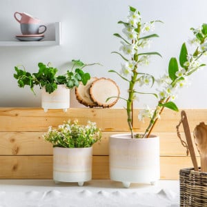 Ghiveci pentru plante Nicola Spring, ceramica, alb, 13,5 x 14 cm - Img 3