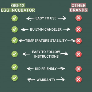 Incubator de 12 oua cu intoarcere automata afisaj al umiditatii si control temperatura Okköbi,  plastic, negru/transparent, 19,5 x  24,3 x 26,4 cm 