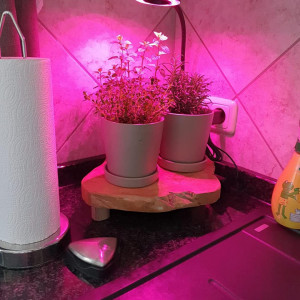 Lampa pentru cresterea plantelor HORIFEN, LED, aluminiu/policarbonat, negru, 38 cm - Img 5