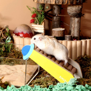 Scara pentru hamster BUCATSTATE, lemn, multicolor, 20 x 11cm - Img 4